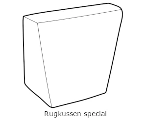 rugkussen speciaal